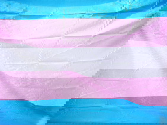 Reclame Code Commissie: radiospot tegen Transgenderwet is nodeloos kwetsend