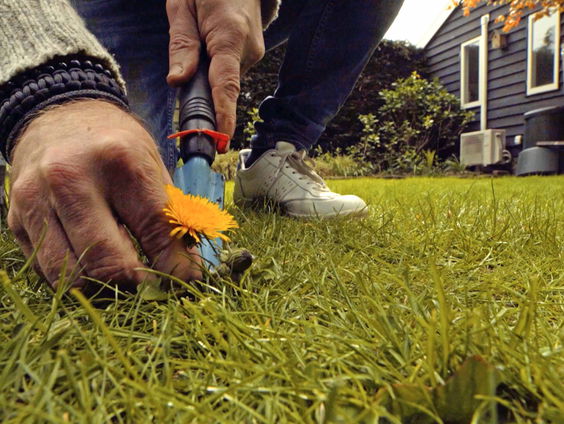 Documentaire 'De stand van het gras'