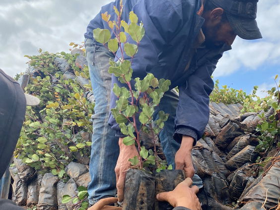 Watertekort en hoge voedselprijzen in Marokko