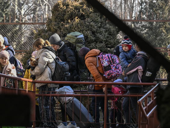 Opvang Oekraïense vluchtelingen in Nederland, Duitsland en Groot-Brittannië