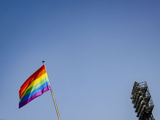 Die diversiteitsplannetjes kunnen de prullenbak in