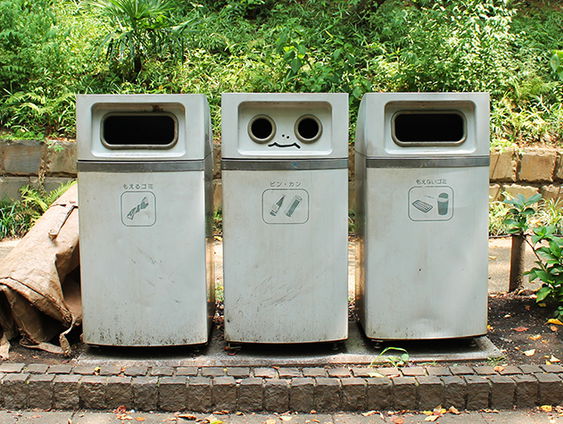 Koningin van de afvalzak