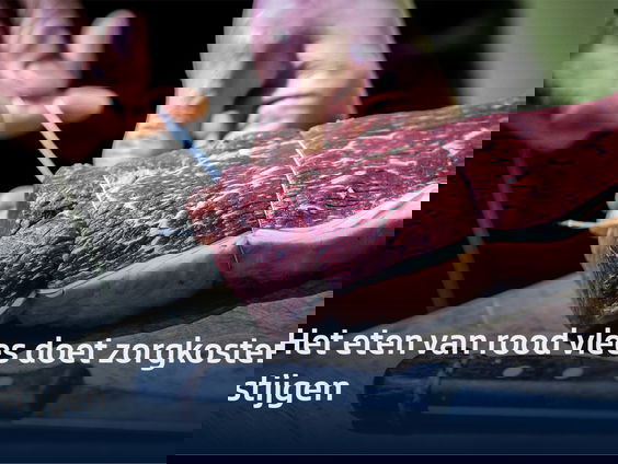 Het eten van rood vlees doet zorgkosten stijgen