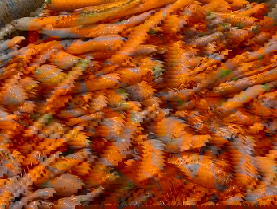 Veel voedsel weggegooid door schoonheidsideaal, ‘maar er is vooruitgang’