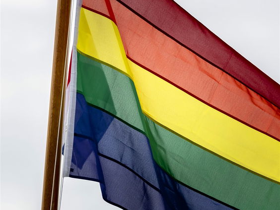 Moet 'homogenezing' verboden worden? 'We moeten voorzichtig zijn om verbod in wet vast te leggen'