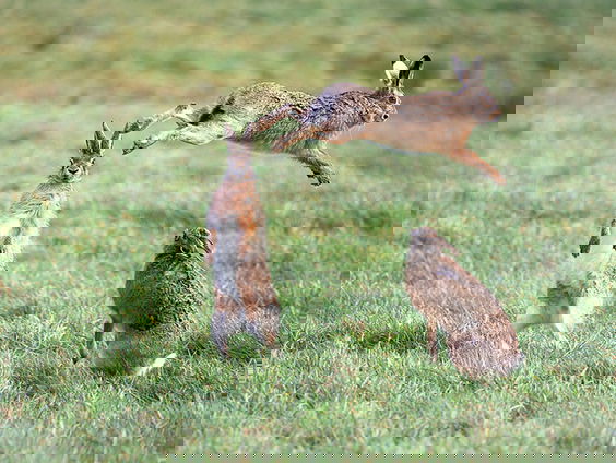 Fenolijn 26 februari 2023