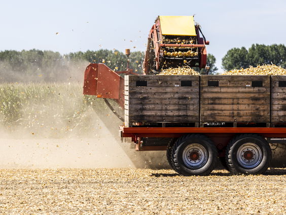 Boeren schakelen over op natuur-inclusieve landbouw
