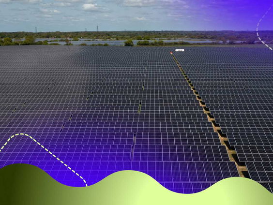 Zonneweides op landbouwgrond