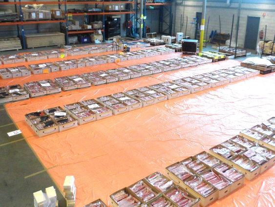 Peter Schouten en Vito Shukrula over georganiseerde criminaliteit