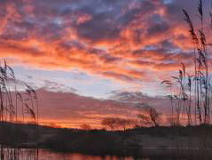 Weerspiegeld: het weer nader verklaard.