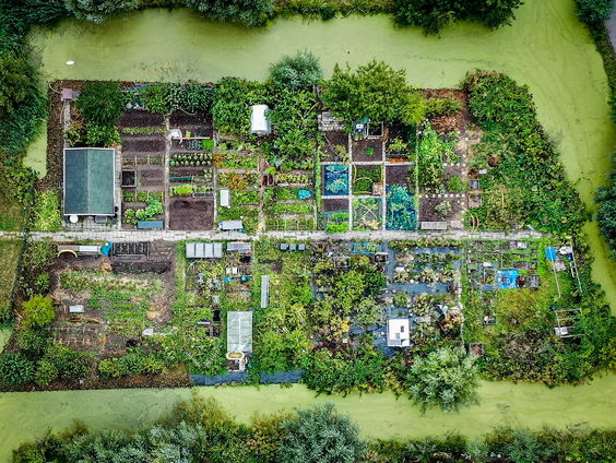 Hoe er conflicten of juist vriendschappen ontstaan bij een volkstuin