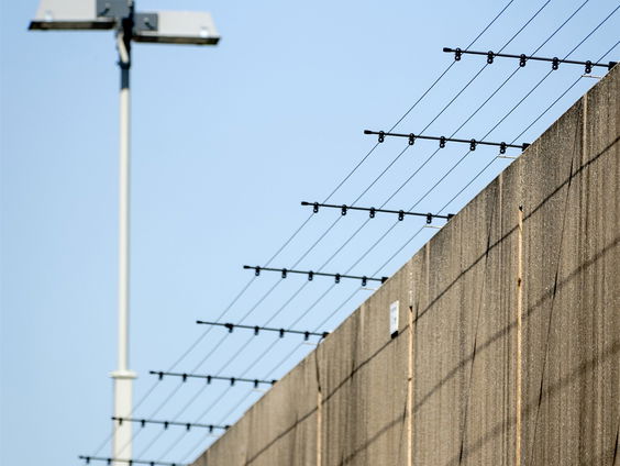 Wiene van Hattum strijdt voor de rechten van levenslang gestraften
