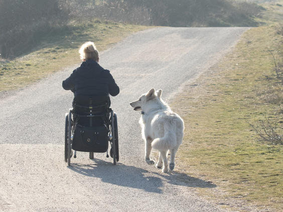 De vraag naar hulphonden neemt toe