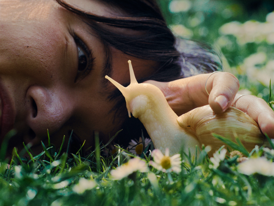 'M'n Beessie en ik' volgt hartverwarmende verhalen van dieren en hun baas