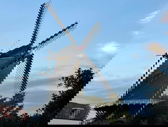 Het hart van 'De Windotter'