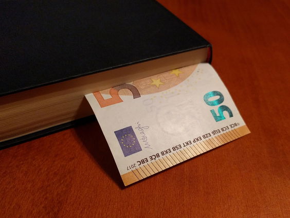 Wat levert een boek schrijven op?