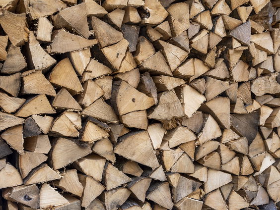 Nederlanders halen zelf hout uit het bos, tot ergernis van boswachters
