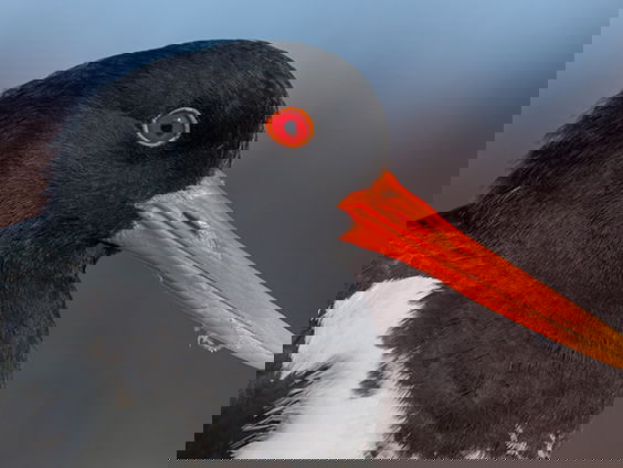 Fenolijn 18 februari 2024