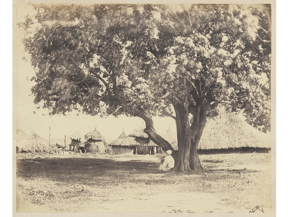 Foto's van ontdekkingsreiziger Alexine Tinne uit 1862 aangekocht door UB Leiden