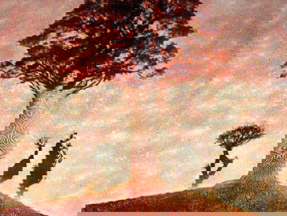 Première van de voorstelling 'Immortal Trees'