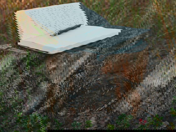 Quarantainegedichten en lockdowndichters