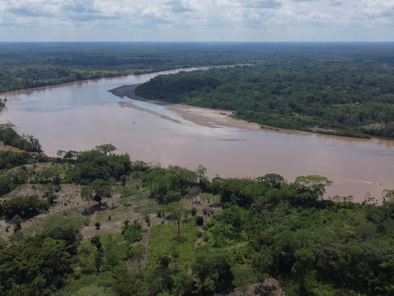 Slecht nieuws! Amazonewoud wordt groener tijdens droogte