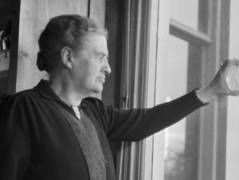 Wie was Johanna Westerdijk?