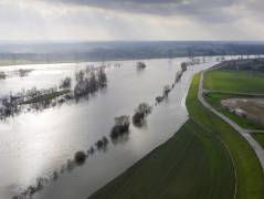 Politiek moet zorgen voor lange termijnplannen om grote problemen als klimaat op te lossen