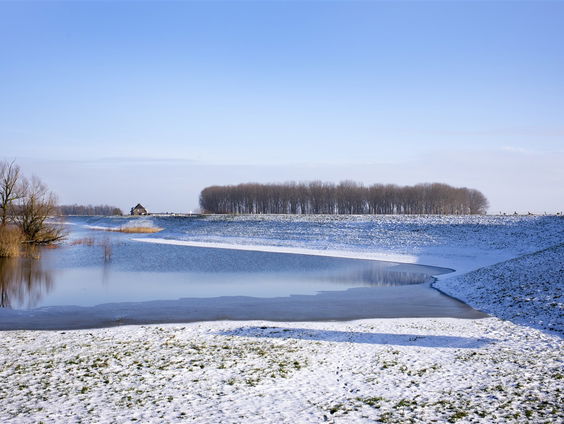 Zomerserie: bioloog Mátyás Bittenbinder over z'n favoriete plek in Nederland