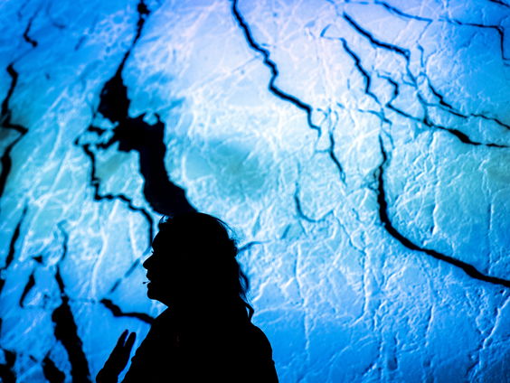 Zeebodem bij Noordpool vol met sponzen