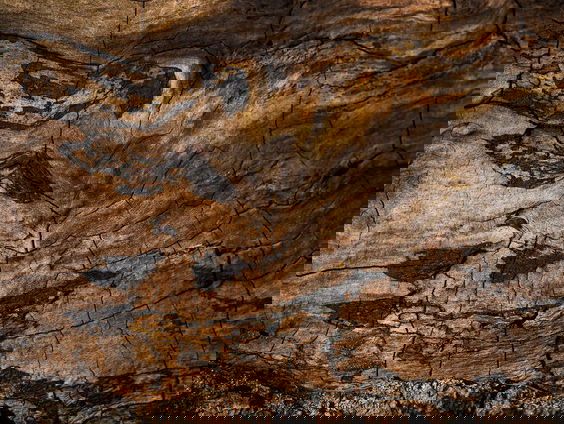 In schoonheid vergaan