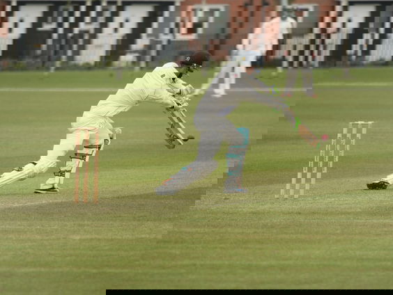 Topcricketer Paul van Meekeren over de cricketzomer