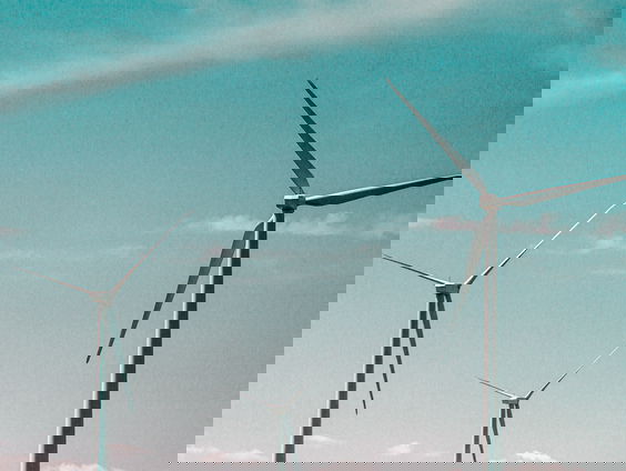 Wat is de ecologische schade van windmolens?