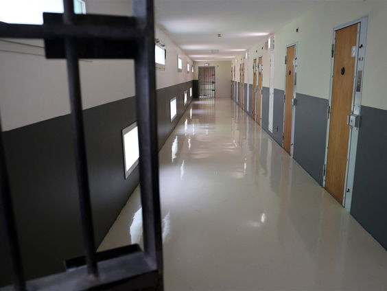 Door de wol geverfde boeven staan groentjes bij