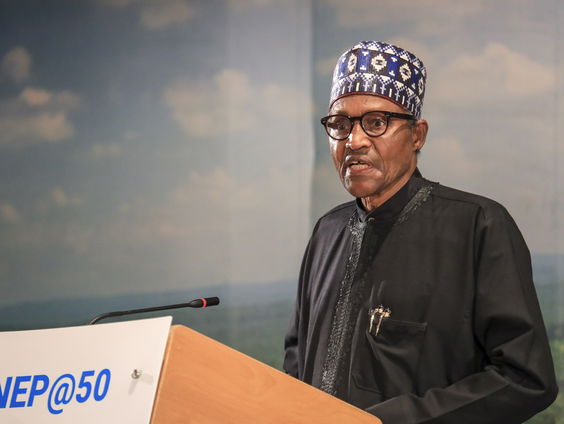 Nigeriaanse president roept VK en EU op om gaspijplijn te financieren