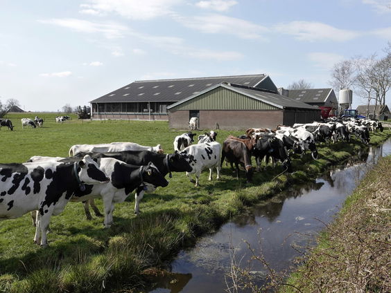 Zorgen de stikstofplannen voor een nieuwe emigratiegolf onder boeren?