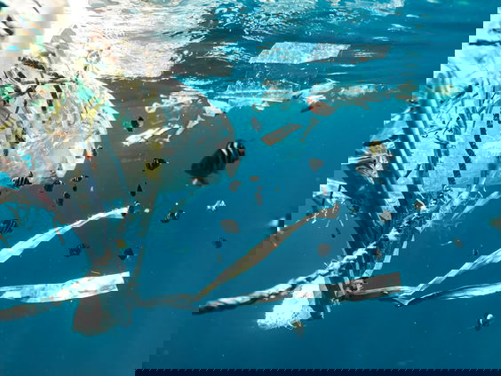 8 februari: Begint een beter klimaat bij jezelf?