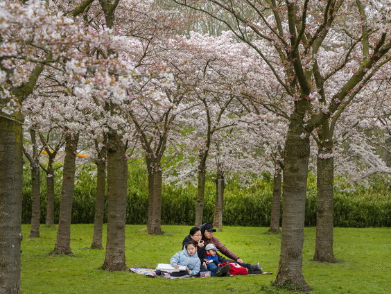 De kortste spreekbeurt: Amstelveen