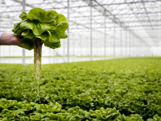 Is Geo-engineering de oplossing voor het klimaatprobleem?