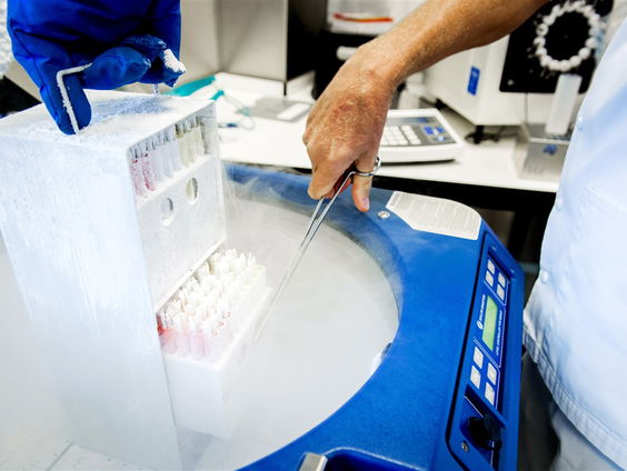 Wetenschappelijk Instituut CDA voor kweken van embryo’s