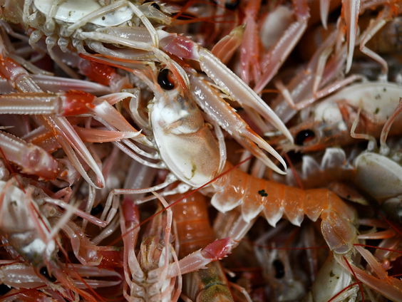 Frontlinie: Troebel Water