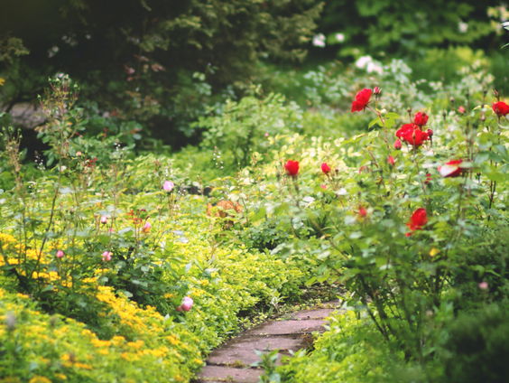 Verhalen van Spraakmakers: Natuurinclusief bouwen en wonen - deel 1