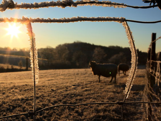 Sittard-Geleen: Komt er een vakantiepark bij Schwienswei?