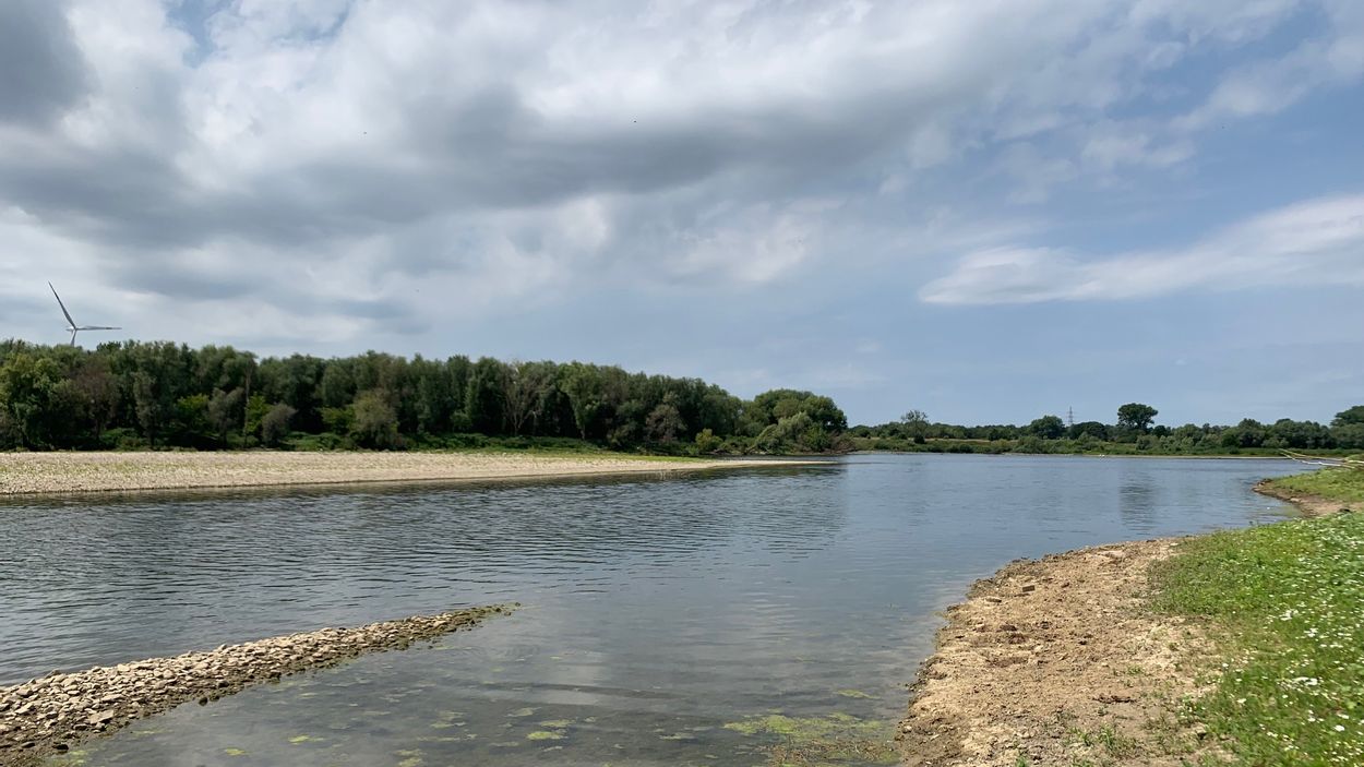 Natuurmonumenten Stapt Naar De Rechter Om Kapregels Rijkswaterstaat ...