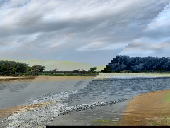 Natuurmonumenten stapt naar de rechter om kapregels Rijkswaterstaat