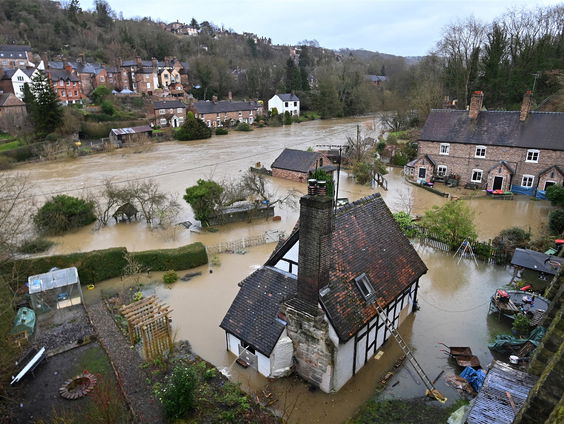 Buitenland Uitgelicht