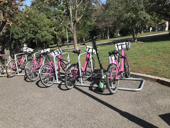 Buitenland Uitgelicht: Tsjechië met Laura Postma