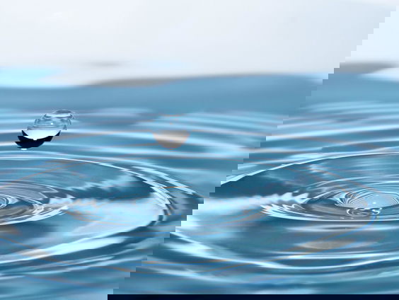 Natuur heeft grondwater hard nodig