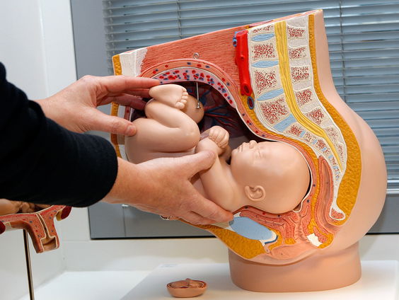 Mannelijke verloskundige na 34 jaar met pensioen