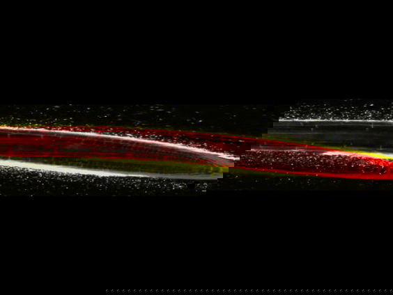 Planten trommelen bacteriën op voor hulp